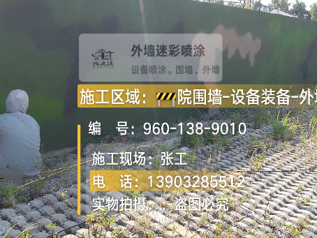 德宏外墙迷彩漆材料价约 45-60 元 /k